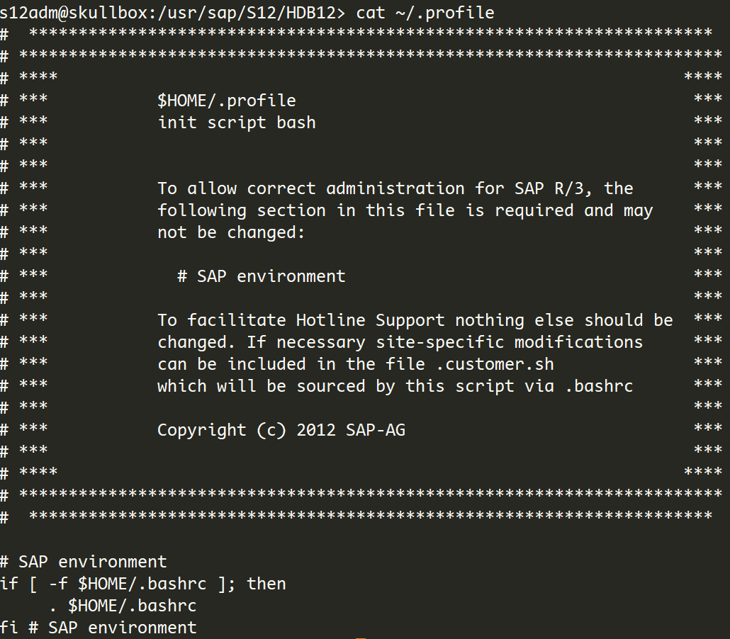 contents of the .profile file